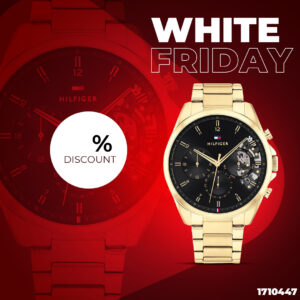 Montre Homme Tommy Hilfiger 1710447